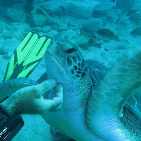 Apartmán Tenerife Luxury *