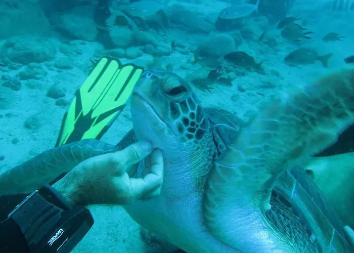 Апартаменти Tenerife Luxury *